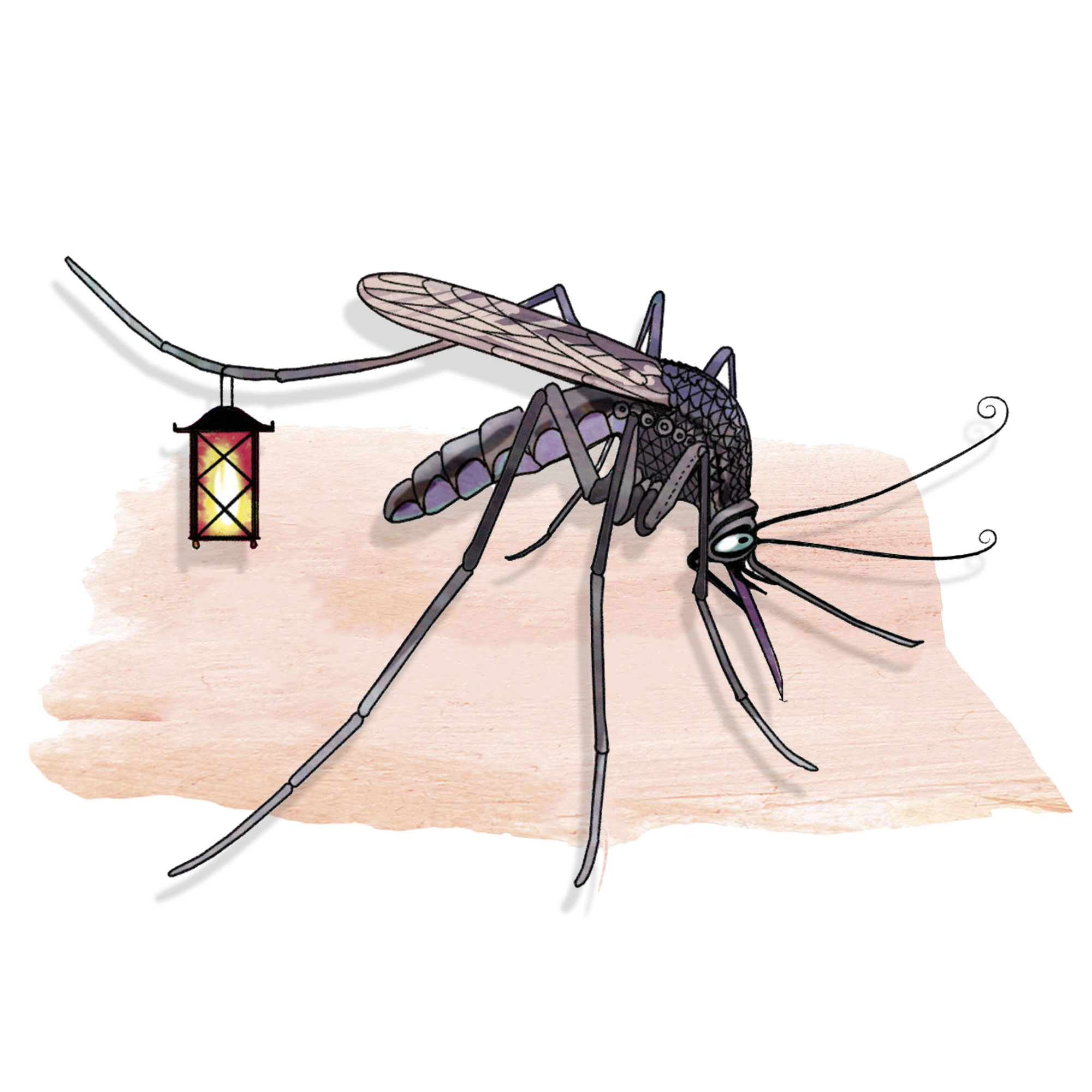Mosquito Pest Control Mosquito Control Ultra Pest Control