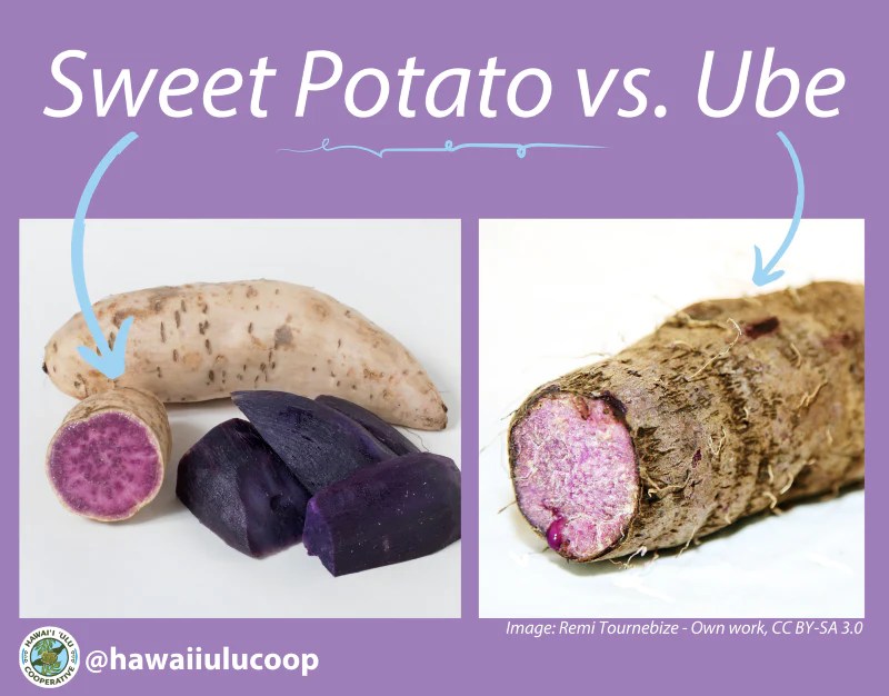 What is the Difference Between Purple Sweet Potato and Ube? Hawaiʻi
