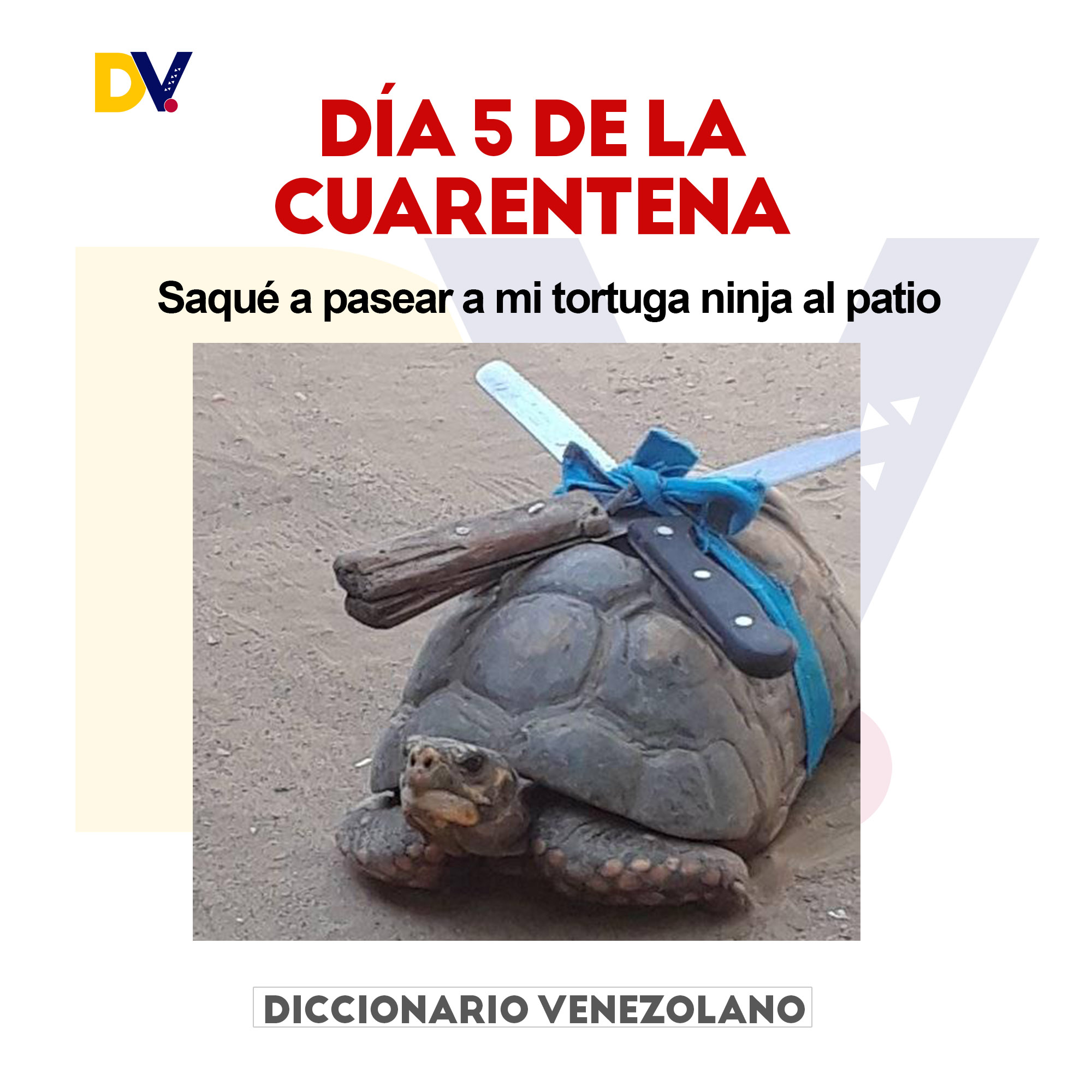 🙂Los mejores memes sobre la cuarentena que se vive por el coronavirus