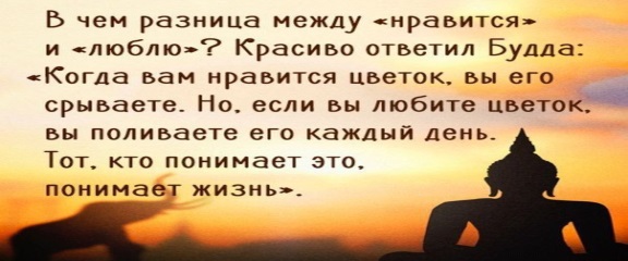 Тексты со смыслом о жизни длинные — Жизненные статусы