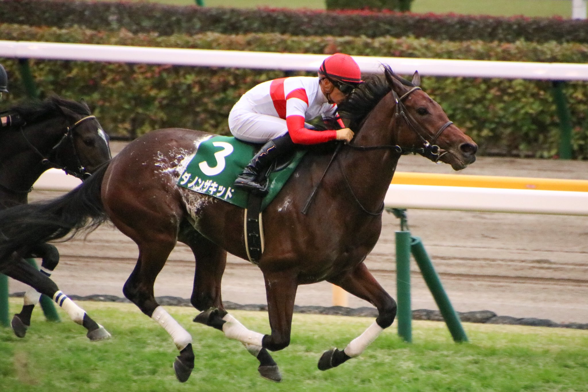 [重賞回顧]クラシックへの登竜門〜2020年・東京スポーツ杯2歳ステークス〜 競馬コラム＆ニュース「ウマフリ」