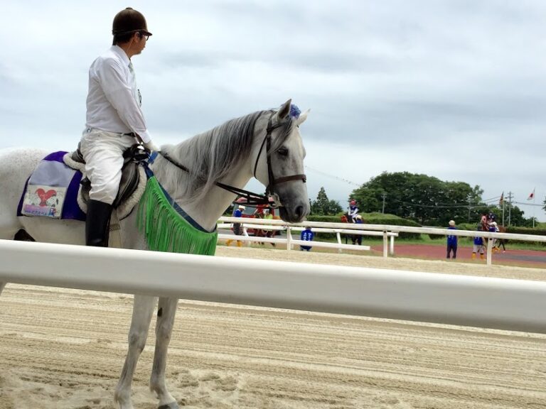 笠松のアイドル馬 ウイニー 競馬コラム＆ニュース「ウマフリ」