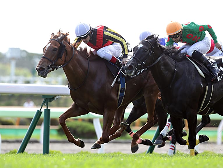 競馬の三連複ボックスは勝てる？3つのおすすめの買い方を紹介