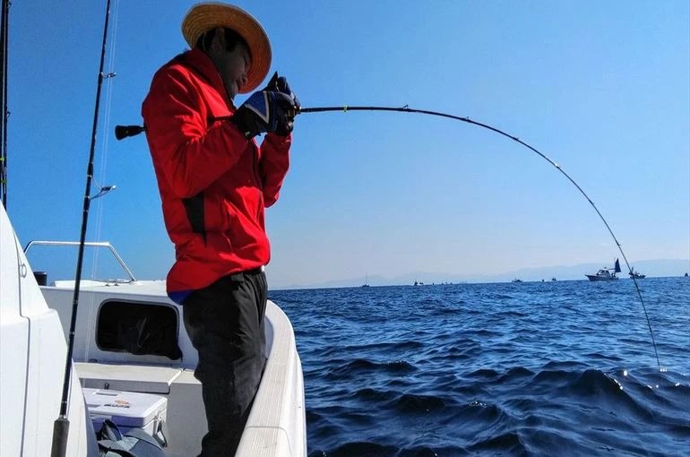 10/25 大阪湾 船釣り 太刀魚 青物 釣果