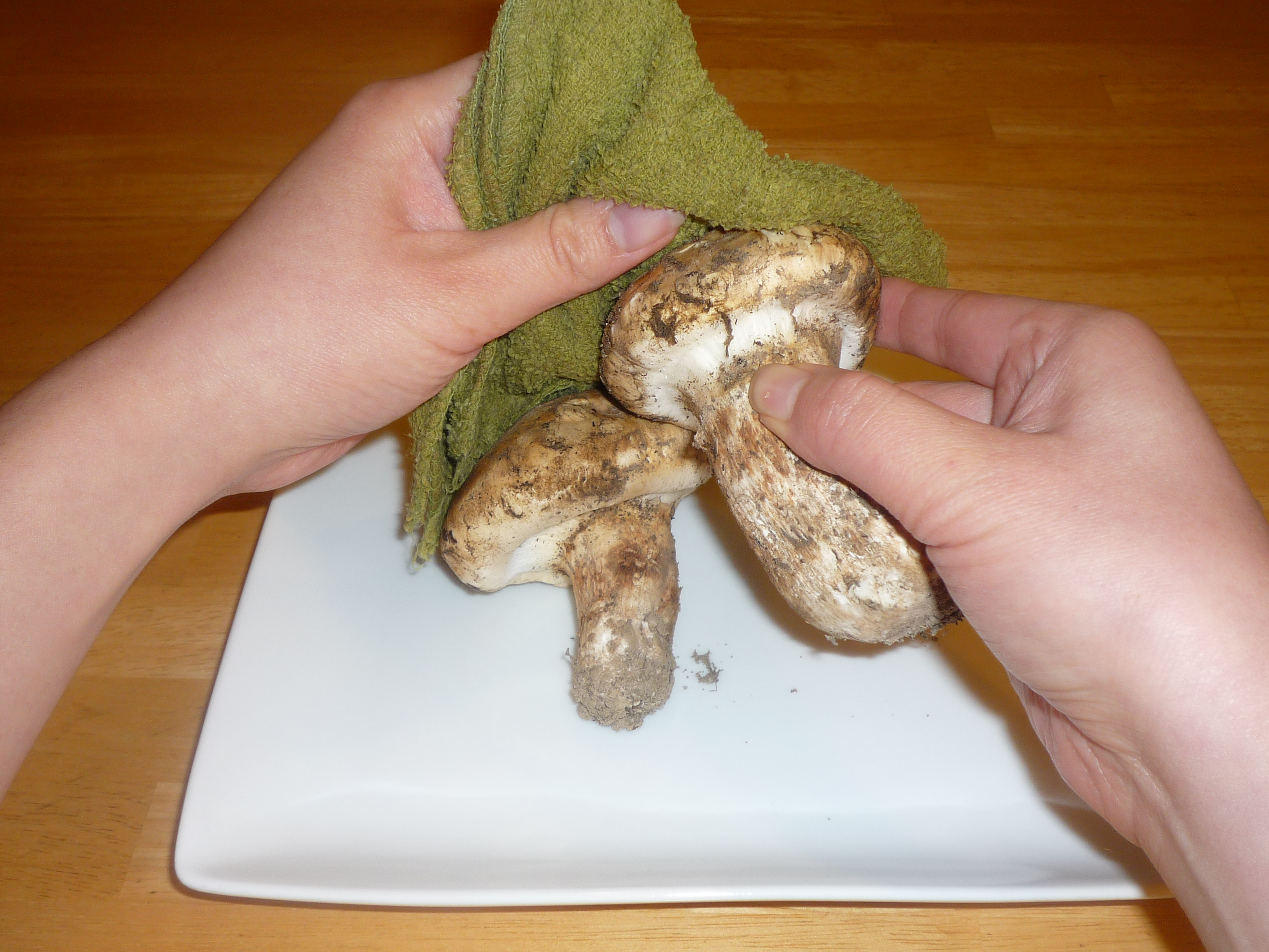 California Matsutake Mushrooms • We Blog The World
