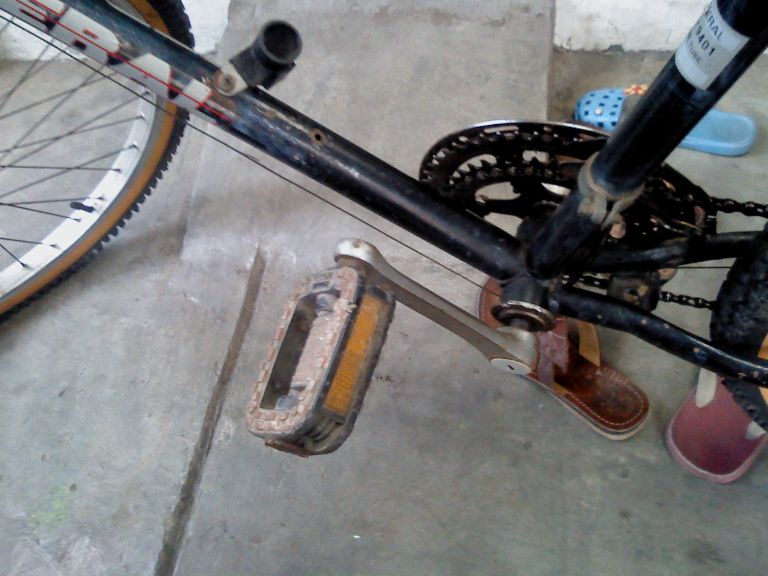 Terpaksa Kembali Lagi uman zone