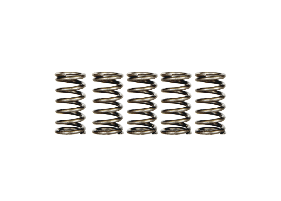 Clutch Spring UMA Racing