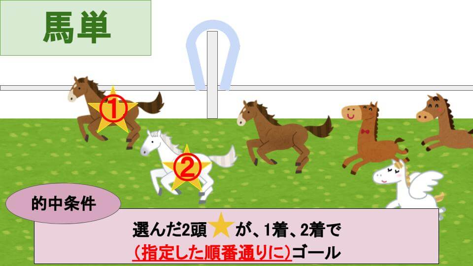 馬単とは｜ボックスではなく1着流しがおすすめ！正しい買い方/馬連との違いとは？フォーメーションも ｜うましる