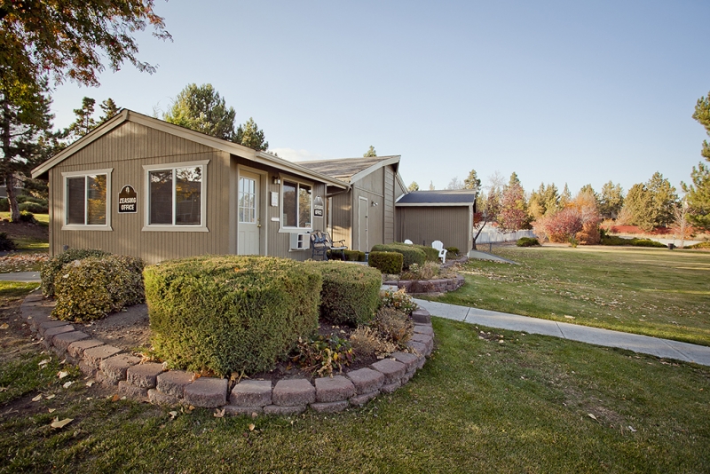 Pinewood_External08 Umbrella Properties