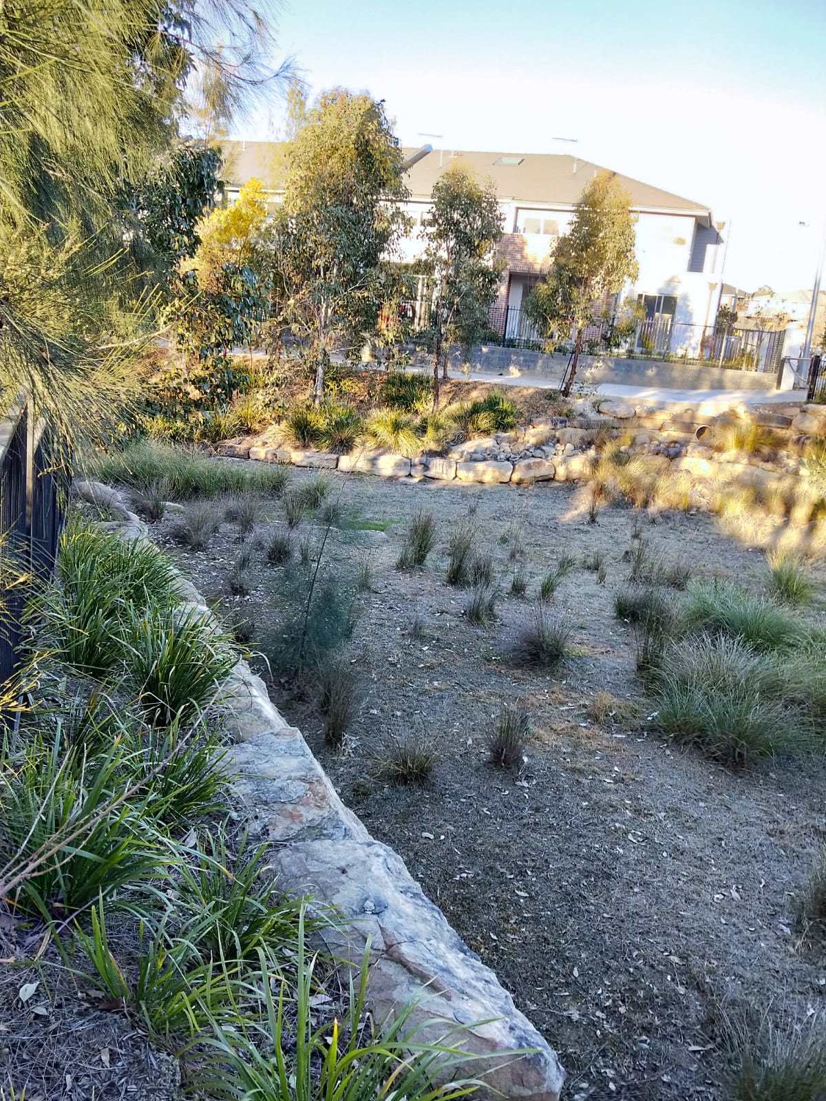 Mulgoa Rise walk The suburbs Hidden Culture CCC Year 9 pdm