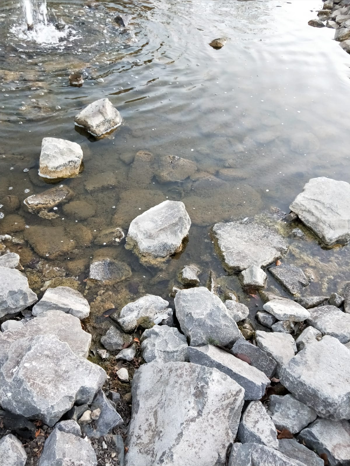 Mulgoa Rise walk The suburbs Hidden Culture CCC Year 9 pdm