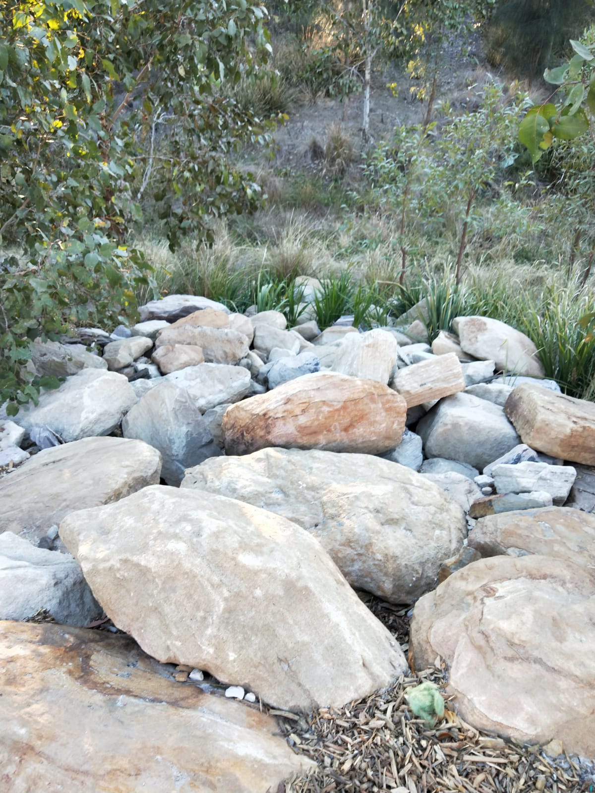 Mulgoa Rise walk The suburbs Hidden Culture CCC Year 9 pdm