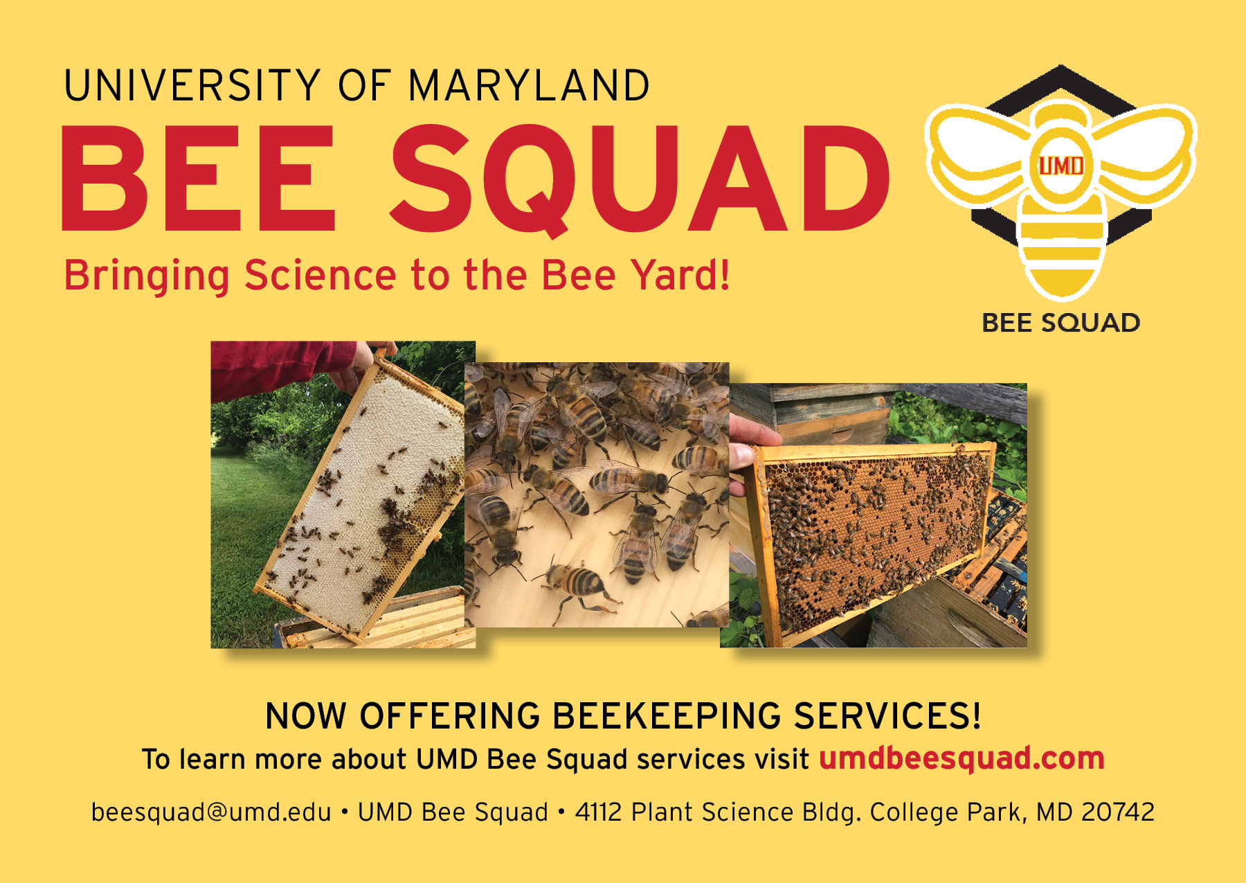 UMD Bee Squad Bringing Science to the Bee Yard