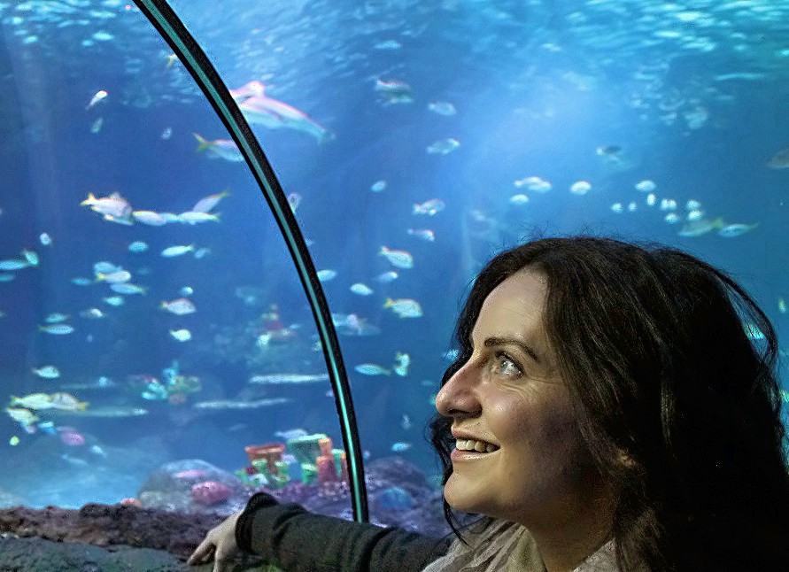 Places to go with kids Sea Life Aquarium, Manchester
