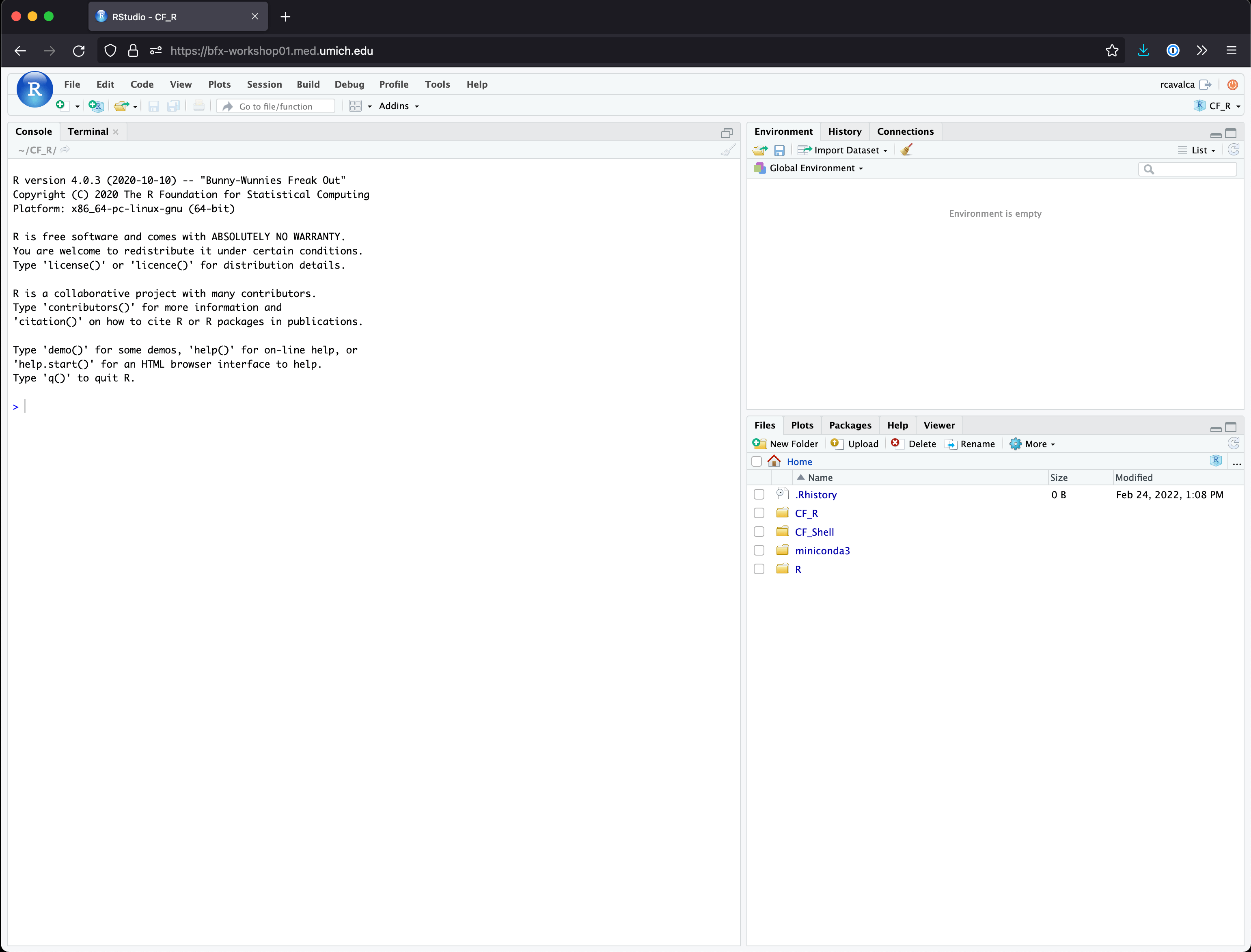 Introducing R and RStudio