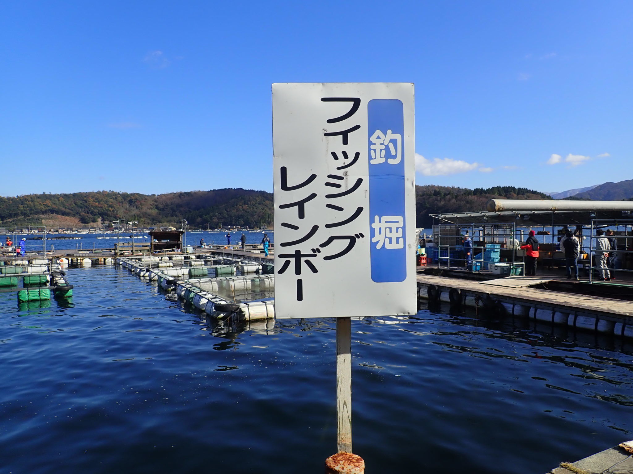 福井の釣り堀フィッシングレインボーの詳細と数釣りするコツ 釣りおじさんの釣りネタ帳