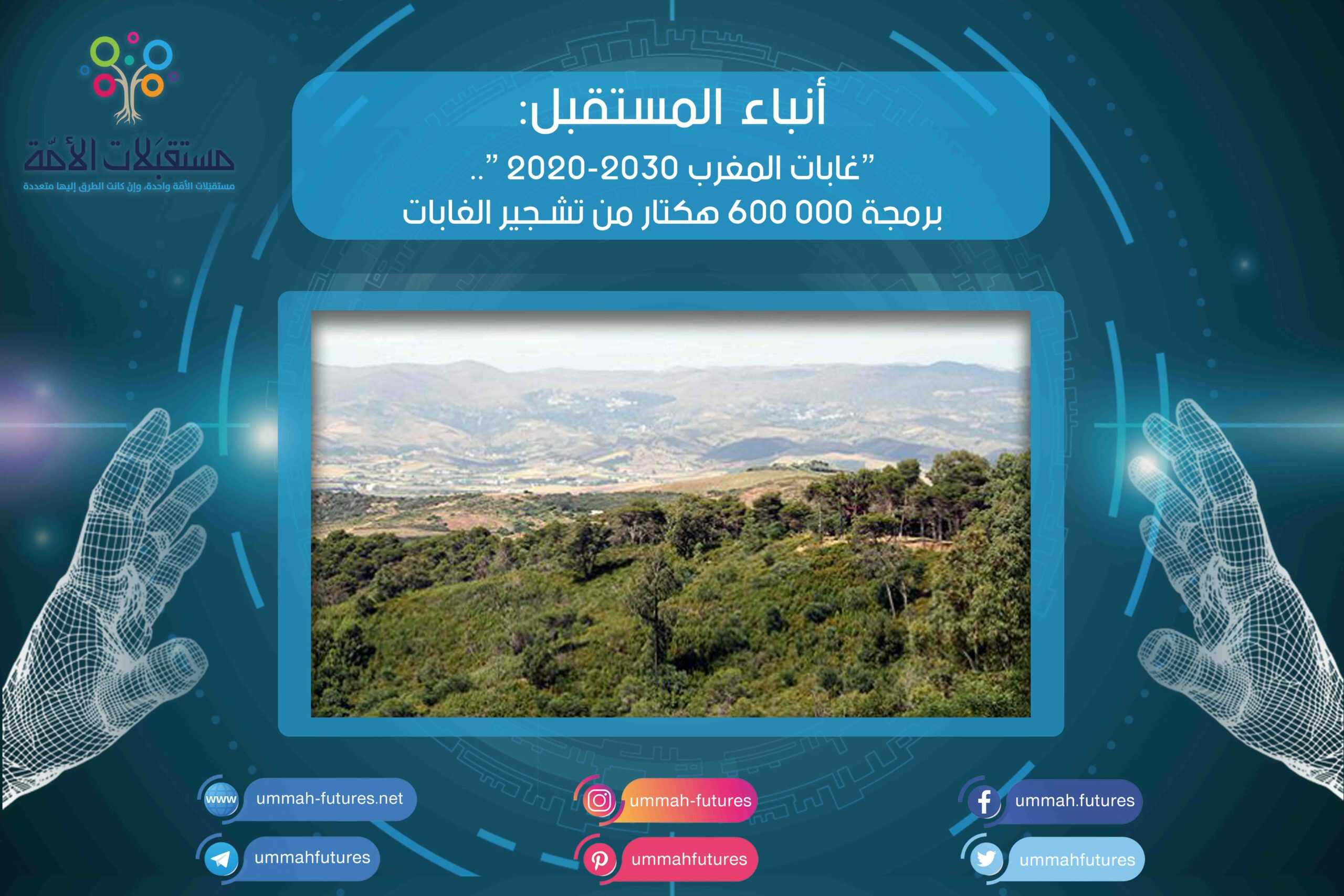 “غابات المغرب 2020-2030 “.. برمجة 000 600 هكتار من تشجير الغابات