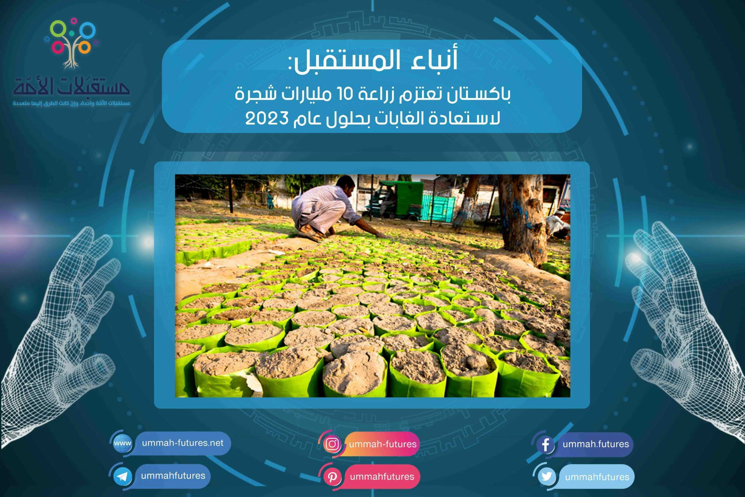 باكستان تعتزم زراعة 10 مليارات شجرة لاستعادة الغابات بحلول عام 2023