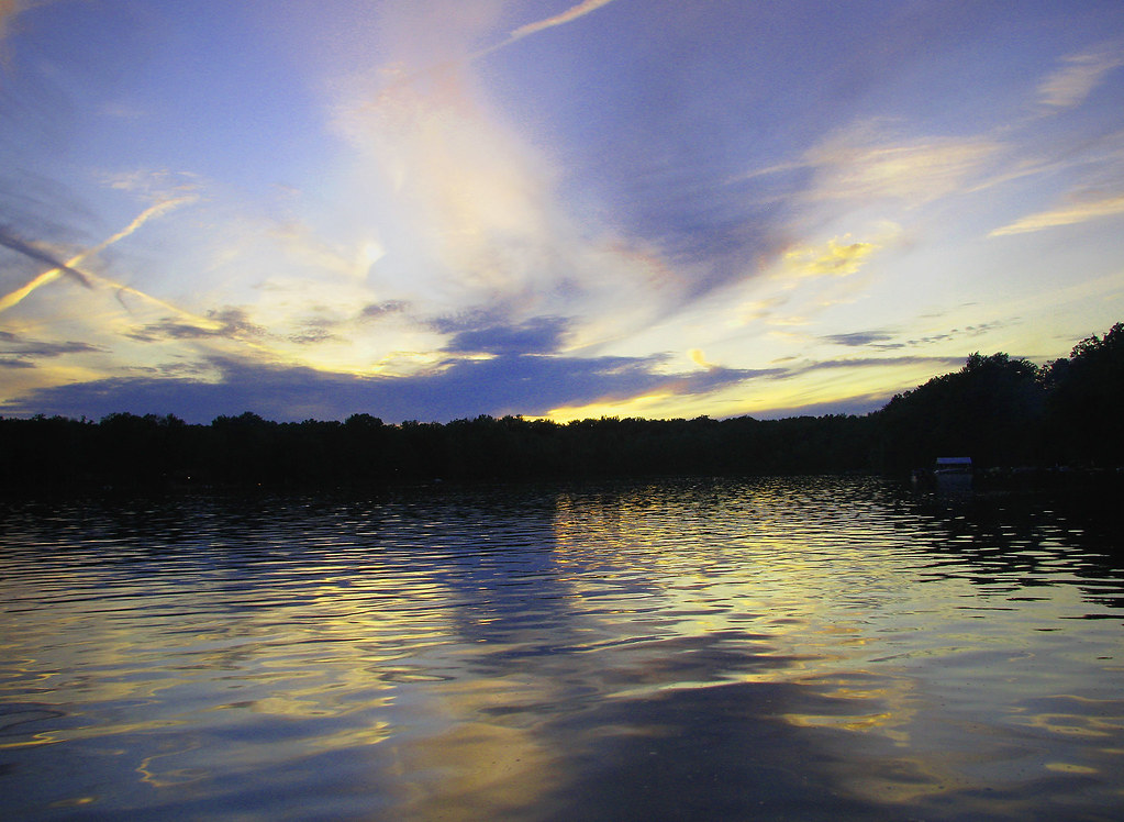 A Stone's Throw From Lake Scott 0.13 Acre Wooded Glenwood Park Lot In