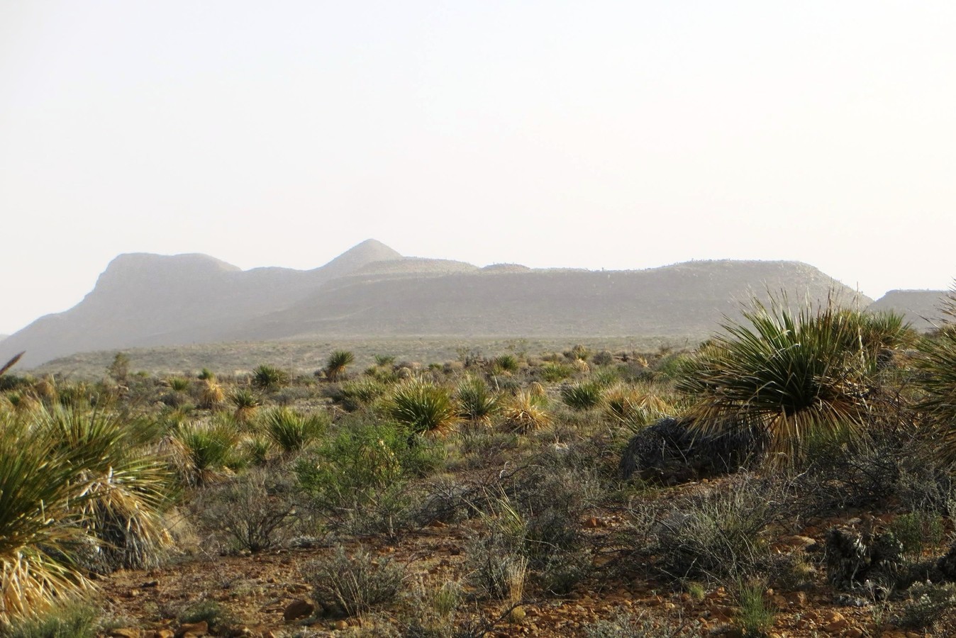 SIERRA BLANCA MOUNTAIN NINE ACRE SW TEXAS LOT W/ROADS & POWER NEAR