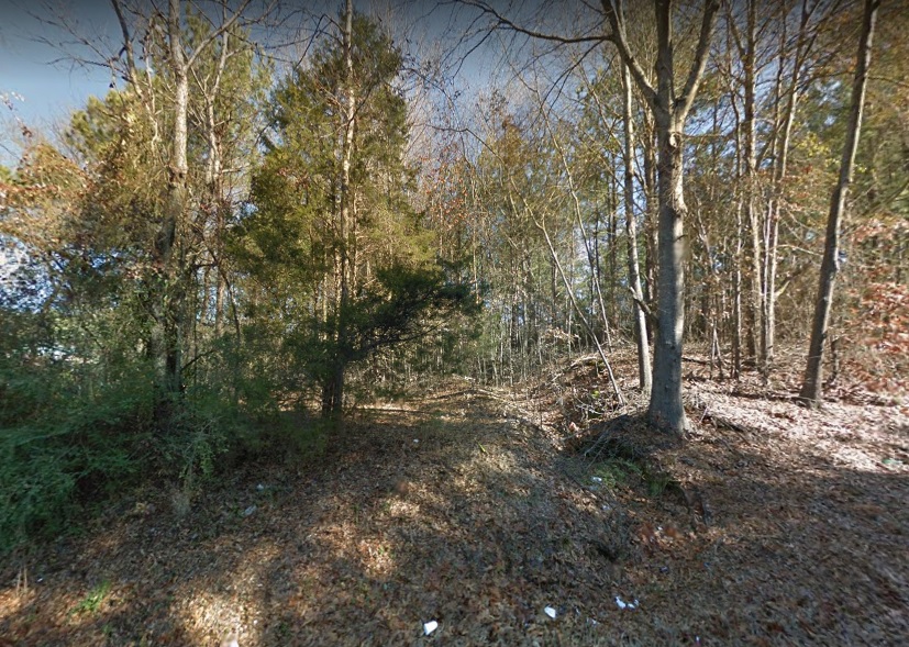 Charming Water Valley Buildable Mississippi Wooded HalfAcre Lot in