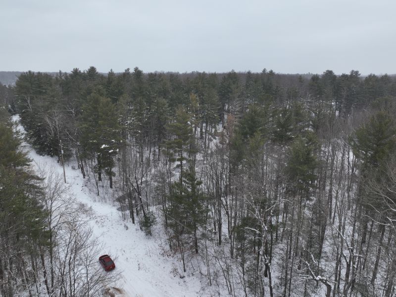 Lake Arrowhead Private Wooded Otsego County HalfAcre Lot in Gaylord, Michigan