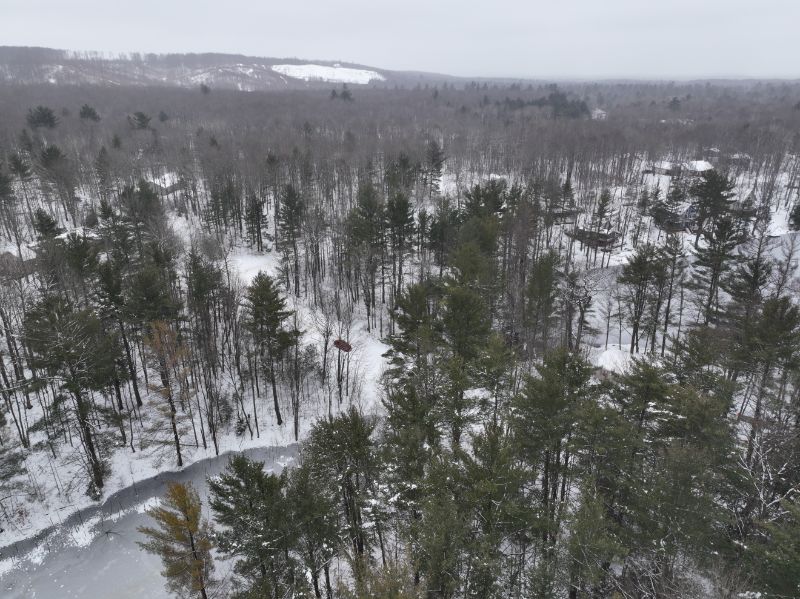 Lake Arrowhead Private Wooded Otsego County HalfAcre Lot in Gaylord, Michigan