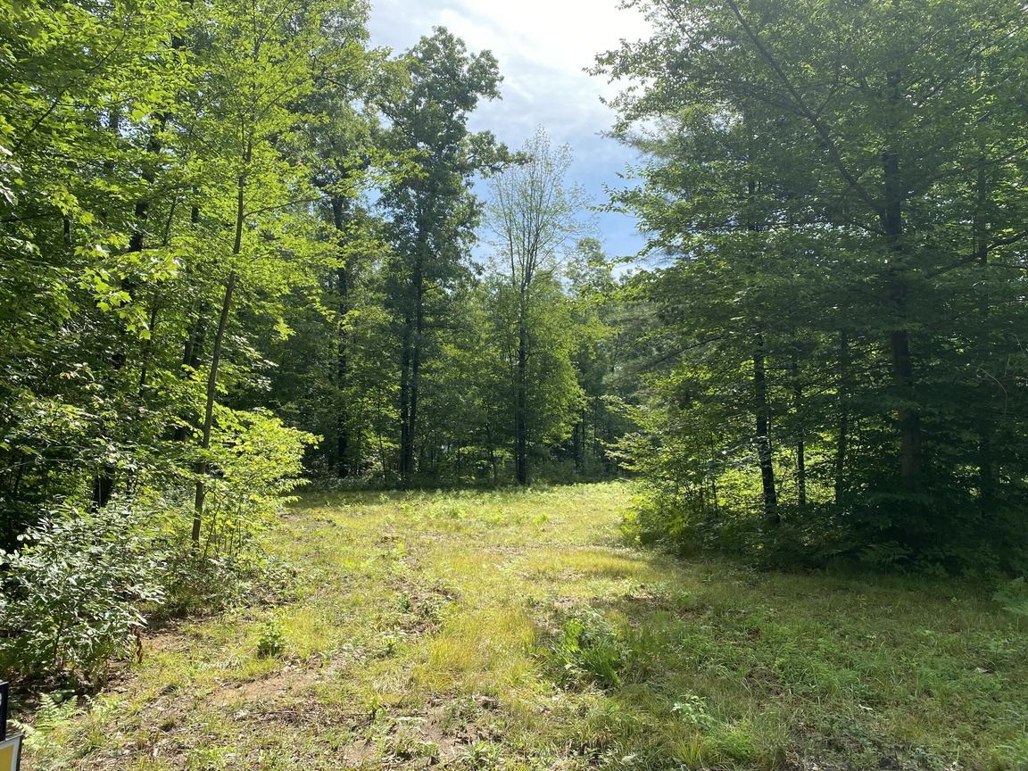 Small Vacant Montcalm County Lot Off Gates Rd in Howard City, Michigan