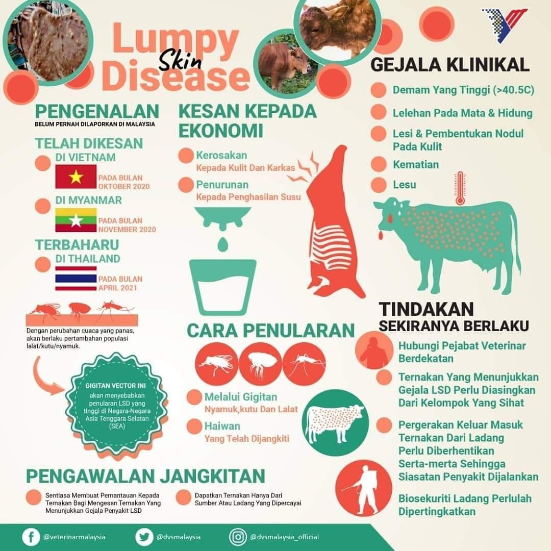 Jangan bimbang, wabak penyakit kulit kental tidak jangkiti