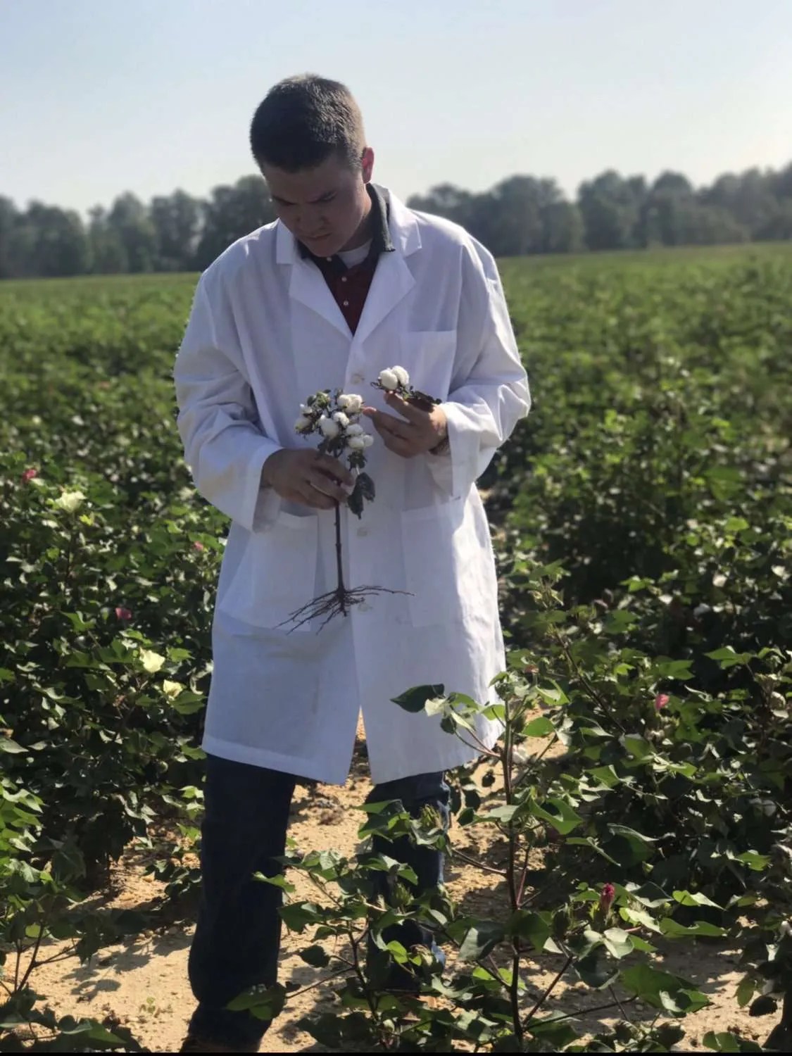 Online Agribusiness Degree Best Online Agribusiness Degree NC