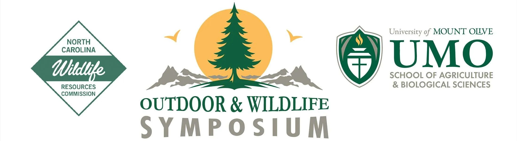 STEM Summer Programs University of Mount Olive