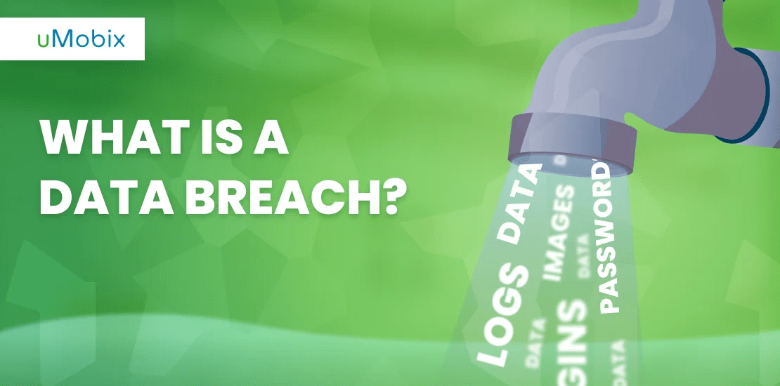 Data Breach Main Risks and Ways to Protect Data