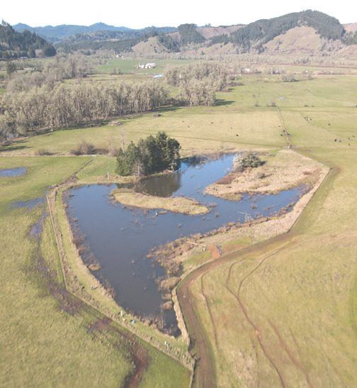 Conservation and Restoration Update Umpqua Watersheds