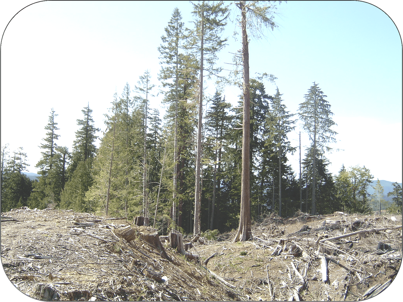 Conservation Update Umpqua Watersheds