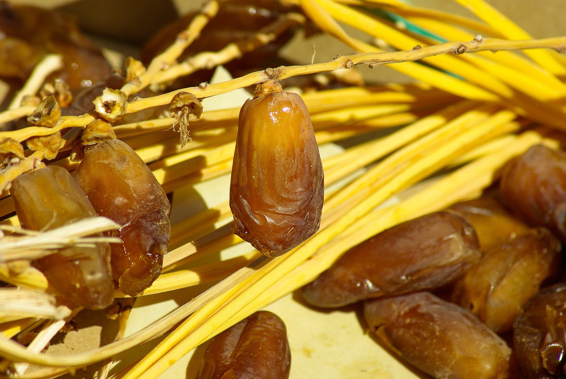 10 Jenis Kurma Paling Enak Di Dunia, Sudah Coba?
