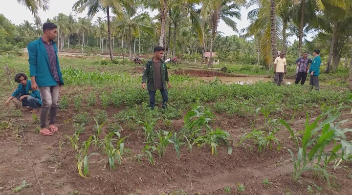 Mahasiswa KKM Umuslim benahi objek wisata Agropolitan di Desa Cot Jrat
