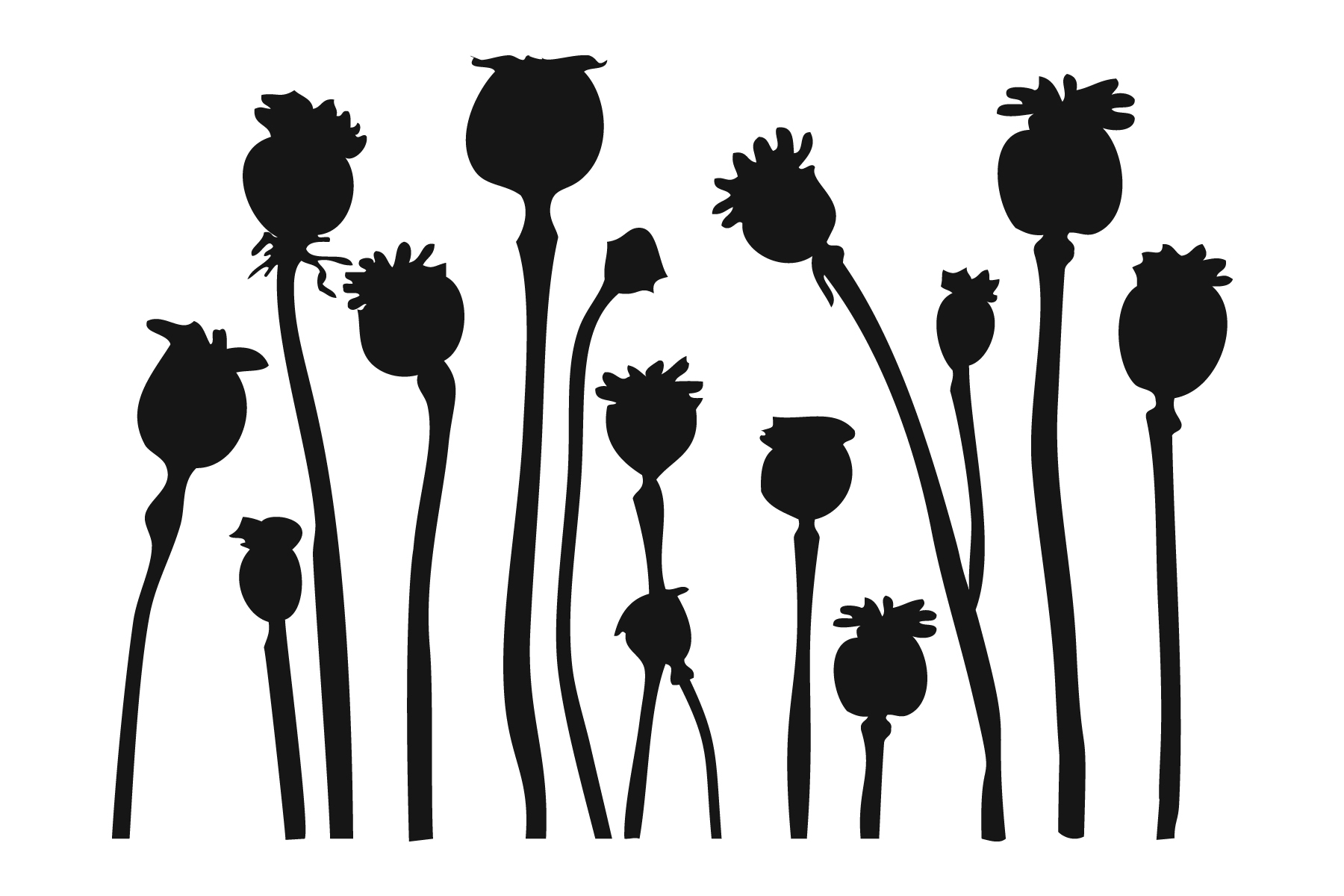 Poppy Pod Stencil UmWowStudio