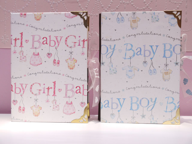 ＊艾蜜莉手工相本小館＊三月特製款再版（已售完）