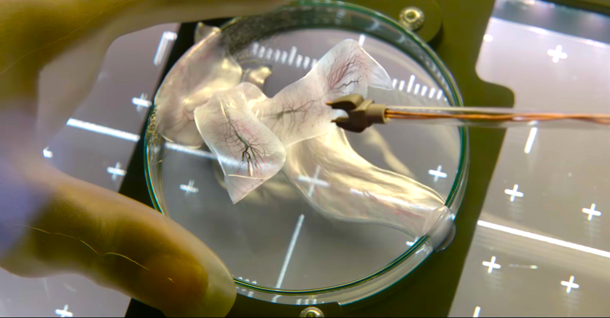 LIFE (2017) Movie Review by The Unaffiliated Critic