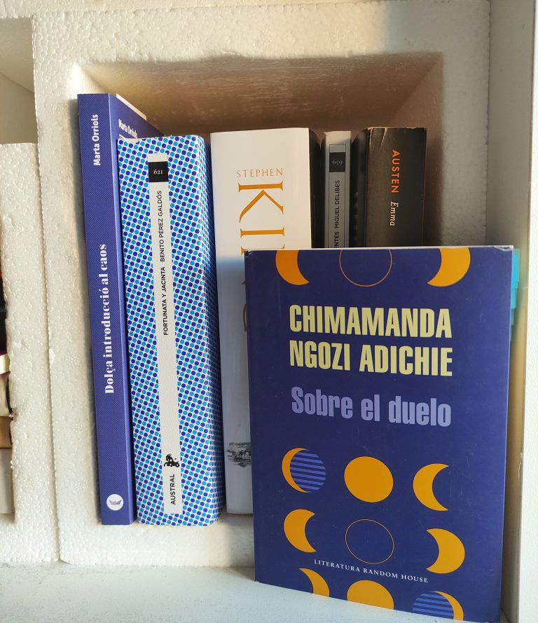 Sobre el duelo de Chimamanda Ngozi Adichie Una lectora singular