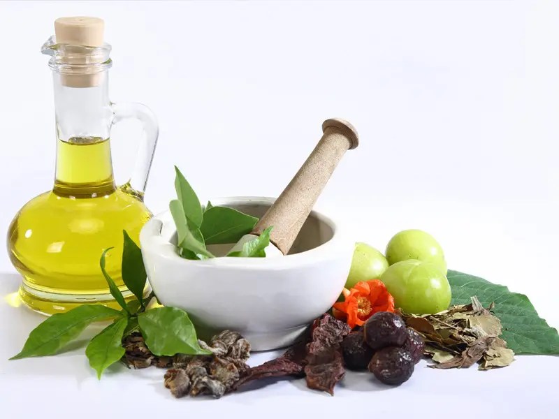 Tips for Choosing Good Herbal Shampoo 4 Marvelous Herbs for Eyes Care