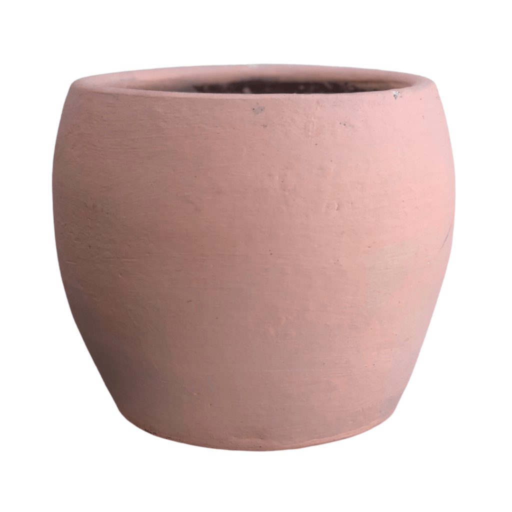 Loam Soil Indoor Plants Philippines Unbeleafable PH