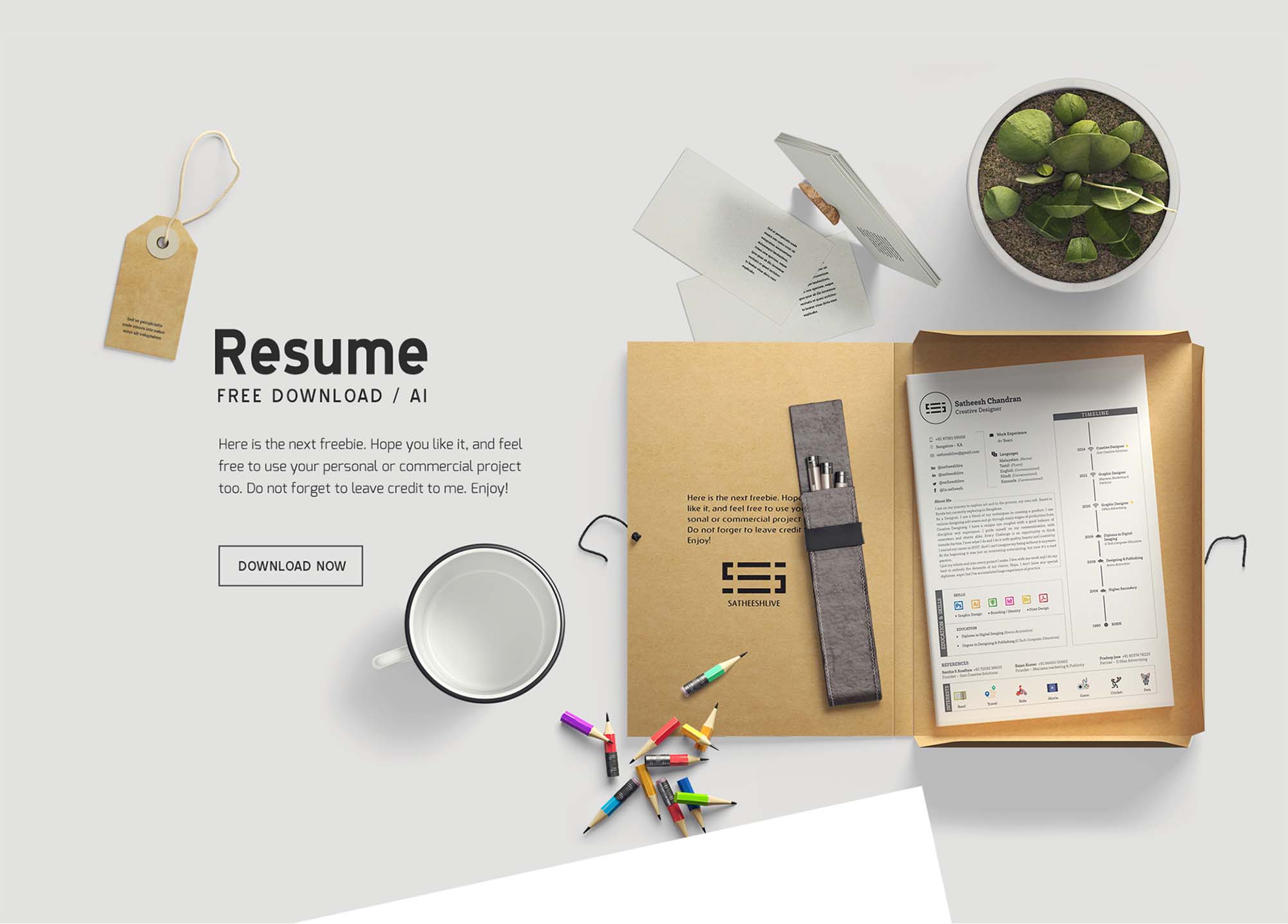 Free Editable Resume Template (AI)