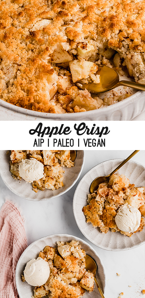 Two bowls filled with apple crisp and coconut ice cream and a spoon and text reading \"apple crisp aip paleo vegan\"
