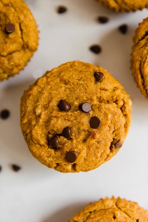 A paleo pumpkin muffin with chocolate chips on top.
