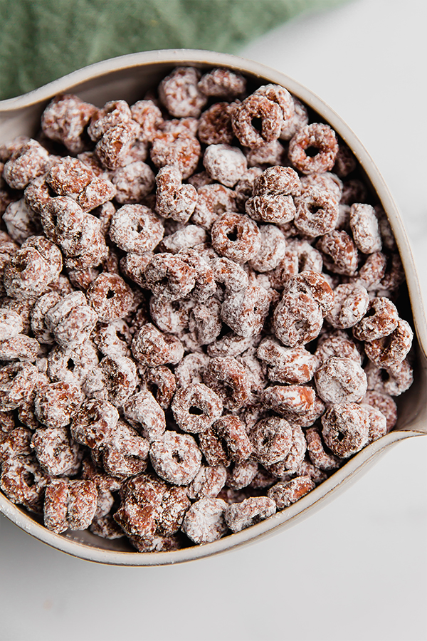 Bowl of gluten-free puppy chow.