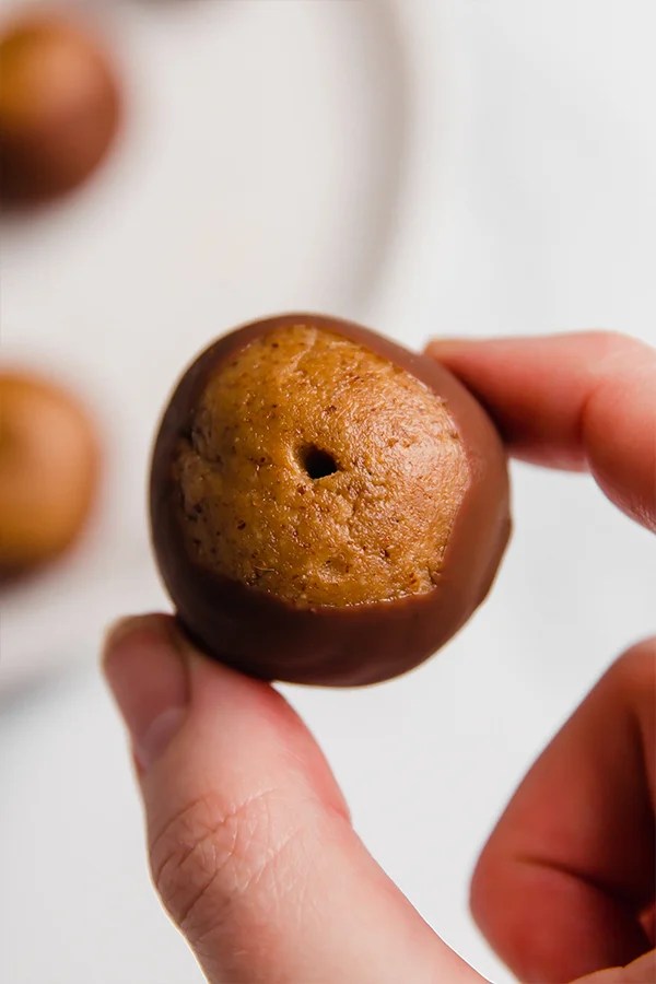 Person holding a paleo buckeye.