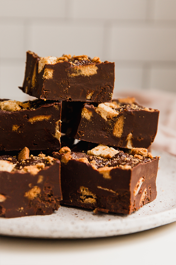 A plate filled with pieces of s'mores fudge.