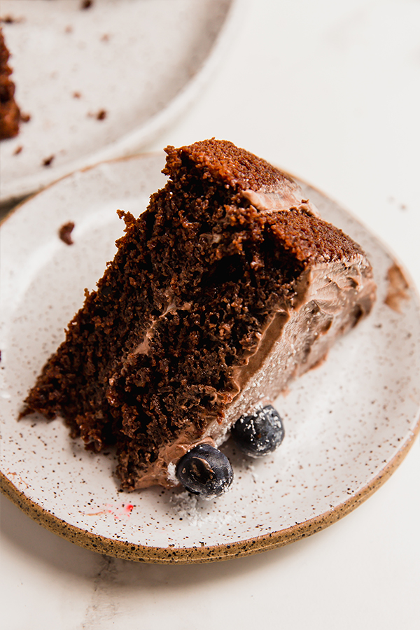 Slice of paleo chocolate cake on its side.