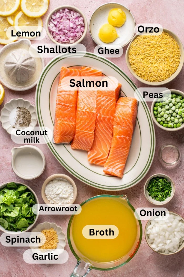 One pan salmon and orzo ingredients in separate bowls.